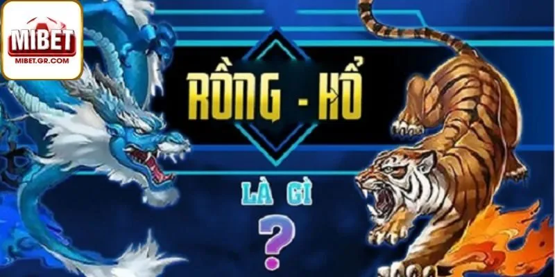 Giới Thiệu Về Rồng Hổ Trên Mibet