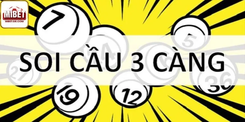 Soi Cầu 3 Càng Là Gì?